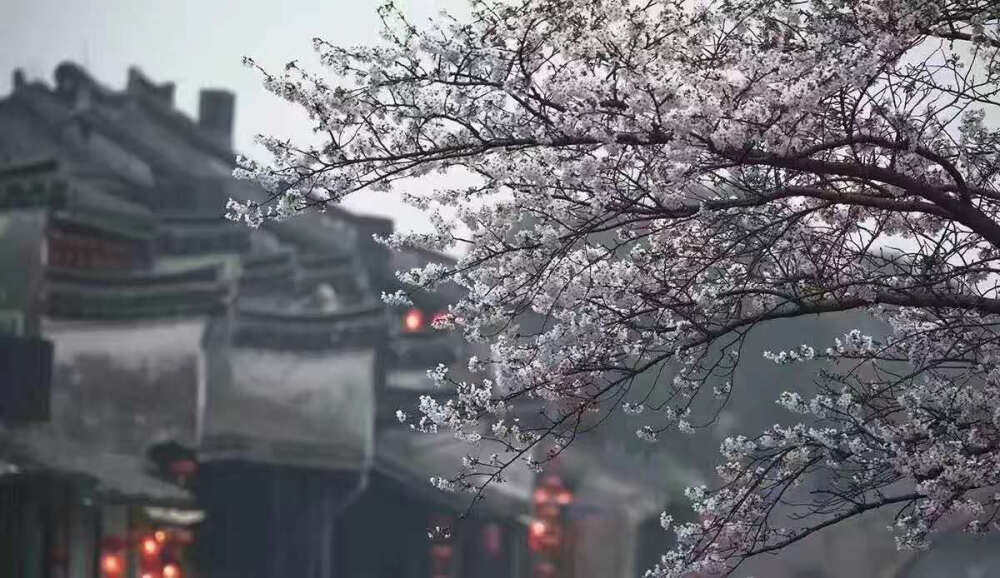 西塘，江南水乡