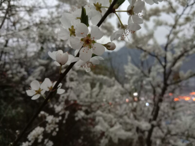 琐碎日常！！！