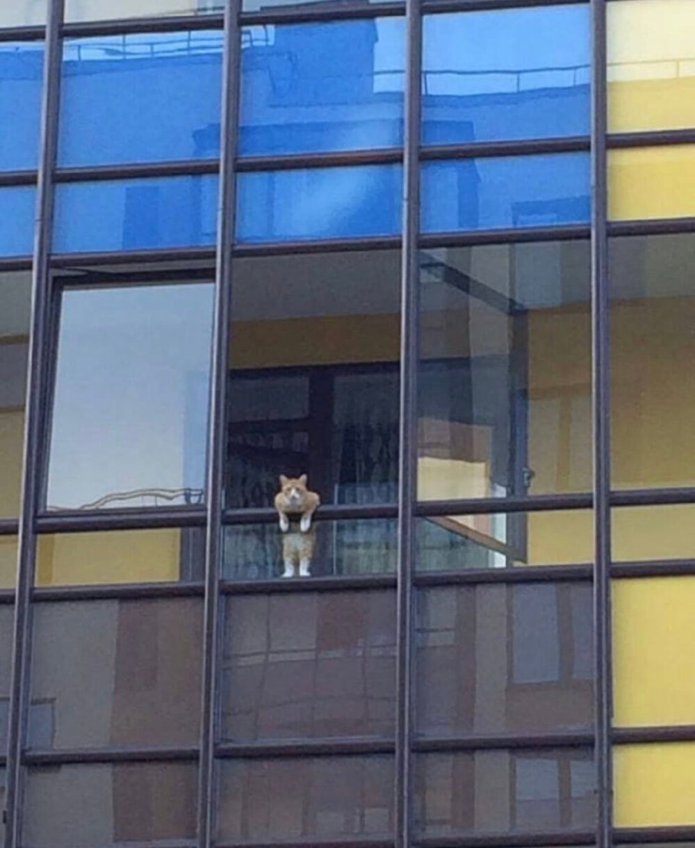 可爱