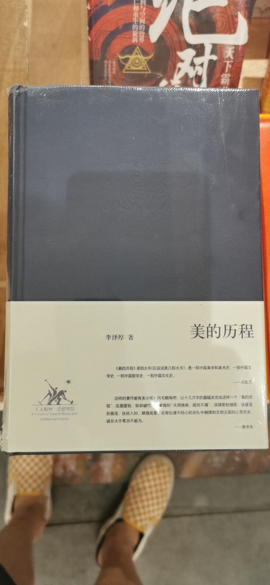 《美的历程》
从宏观鸟瞰角度对中国数千年的艺术、文学作了概括描述和美学把握。
诸如原始远古艺术的“龙飞凤舞”殷周青铜器艺术的“拧厉的美”，
先秦理性精神的“儒道互补”，楚辞、汉赋、汉画像石之“浪漫主义”，“人的觉醒”的魏晋风度，
六朝、唐、宋佛像雕塑，宋元山水绘画以及诗、词、曲各具审美三品类，明清时期小说、戏曲由浪漫而感伤而现实之变迁等等重要观念