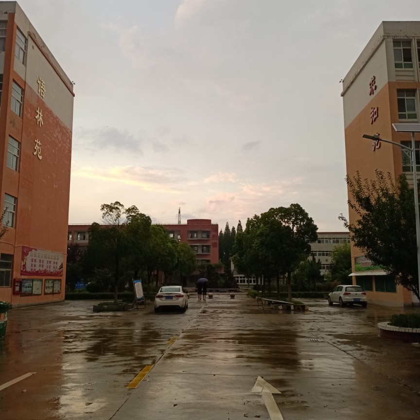 雨后初晴