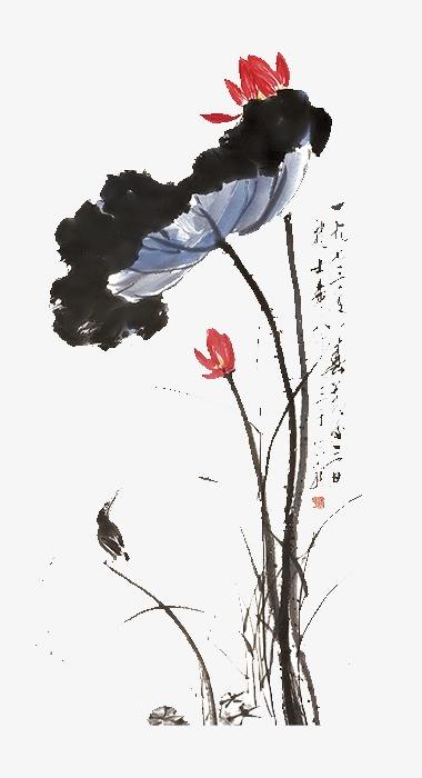 花鸟