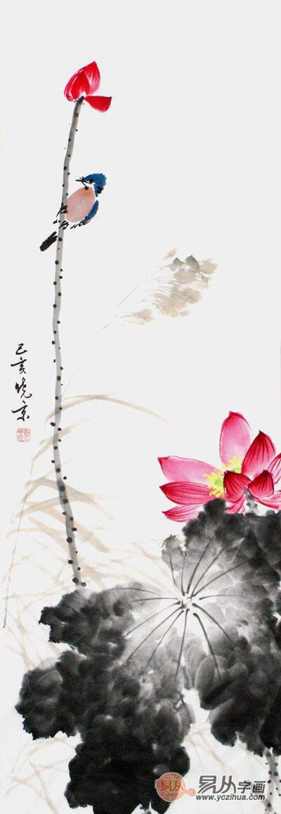 花鸟