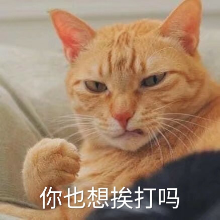 猫咪表情包#喵喵拳#搞笑