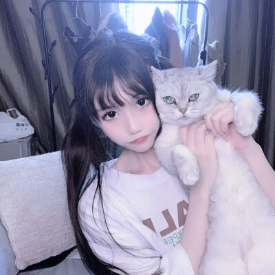 情头