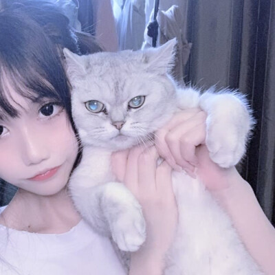 情头