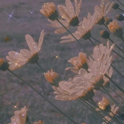 亮晶晶的.背景图.|
[做我的小男孩不用那么累的 虽然偶尔我也暴躁]