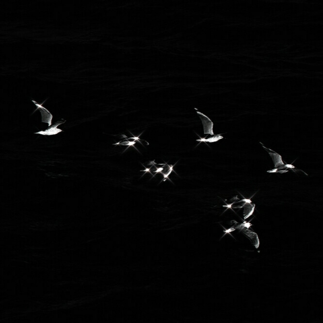 ／ 布拉格之旅
原截贺锦