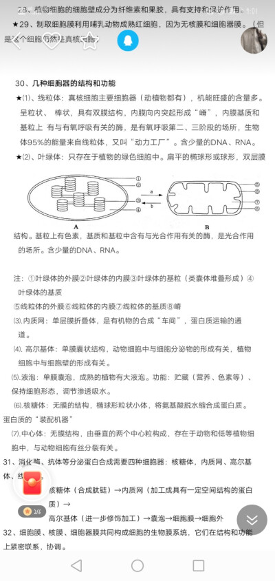 高中生物必修一