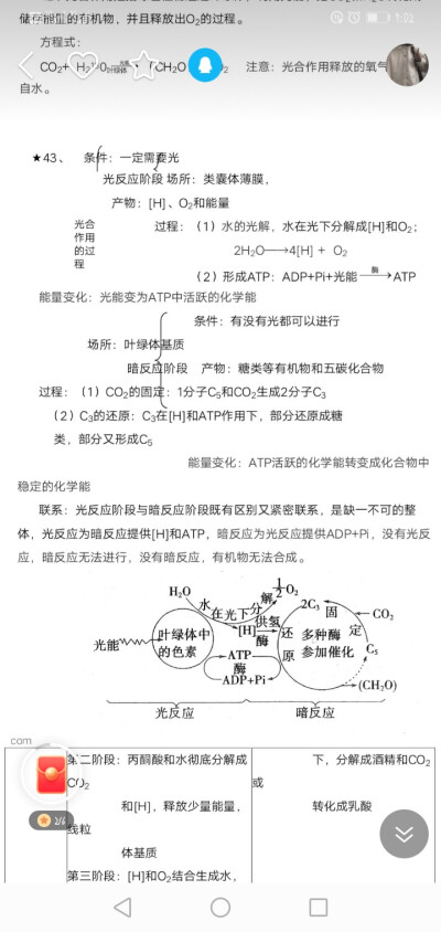 高中生物必修一