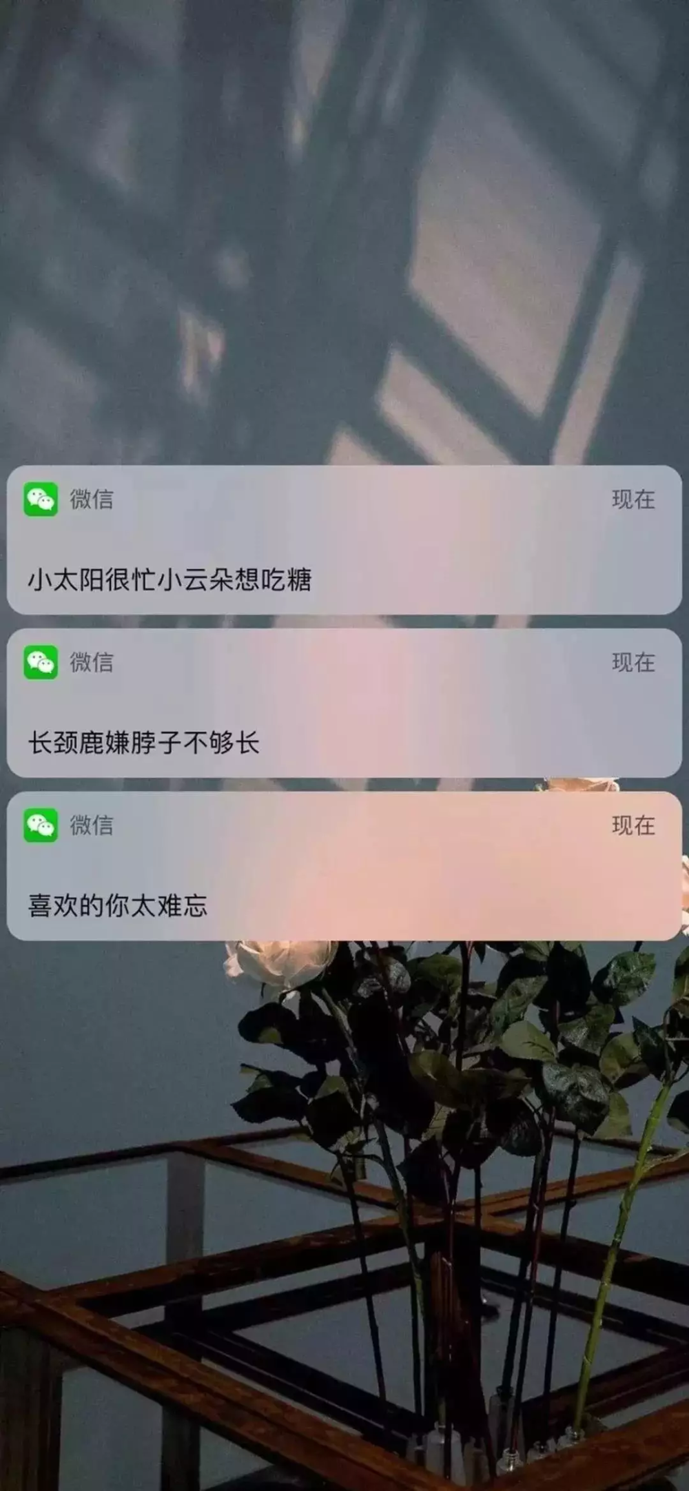 杂图壁纸
愿喜_