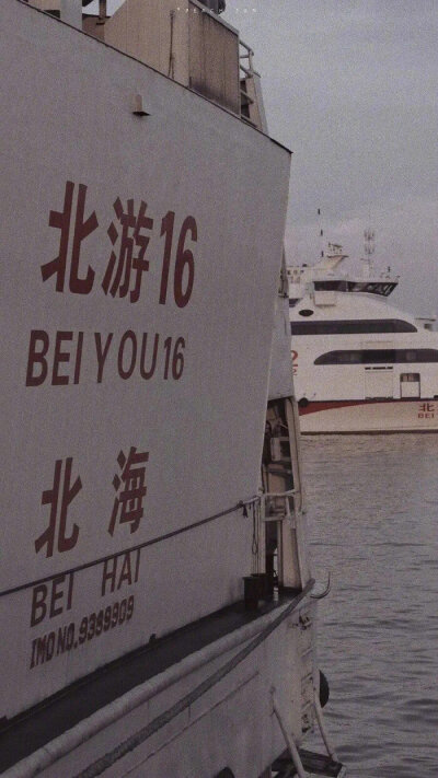 愿为西南风，长逝入君怀-