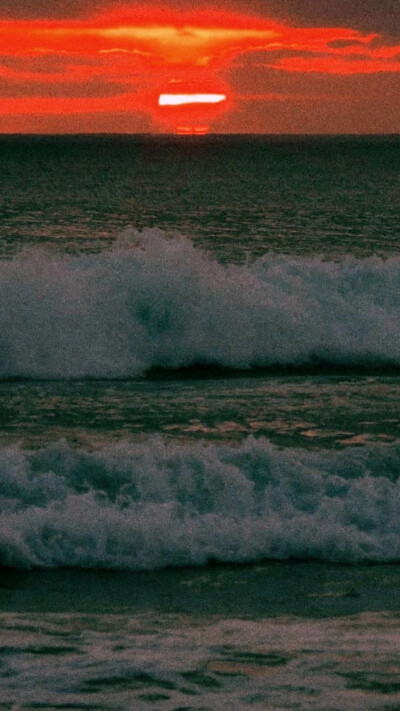 愿为西南风，长逝入君怀-