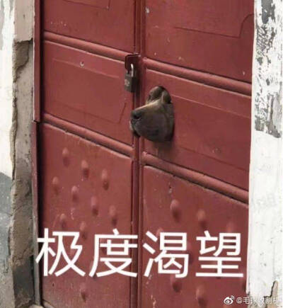 表情包意境图