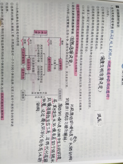 生物必修二
现代生物进化论