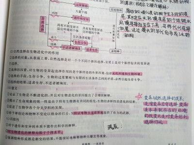 生物必修二
现代生物进化论