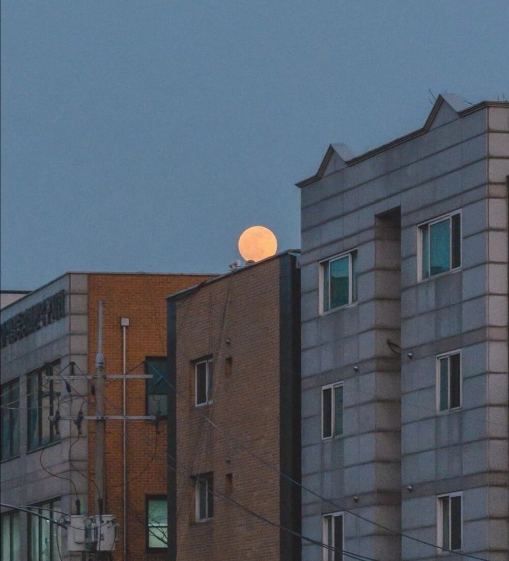 ins背景/朋友圈配图
“每一个定睛看的地方，都拥有一个在意的人和事”
图片来源各处 侵删致歉