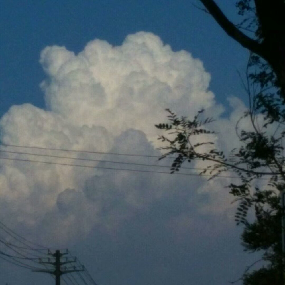 风中有朵雨做的云