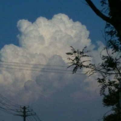 风中有朵雨做的云