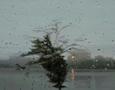 Gregory Thielker 油画车窗前的雨
油画风景 夏天的颜色 详细介绍请关注新浪微博@西画热 你我暮年，闲坐庭院，云卷云舒听雨声，星密星稀赏月影，花开花落忆江南，你话往时，我画往事。新浪微博同名@国画热 @电影热 …