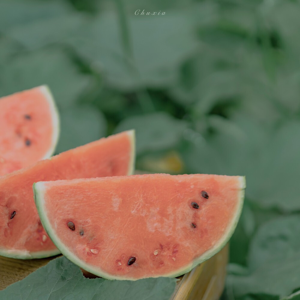 夏天快乐，来日方长
摄影：@-初夏未满 ​