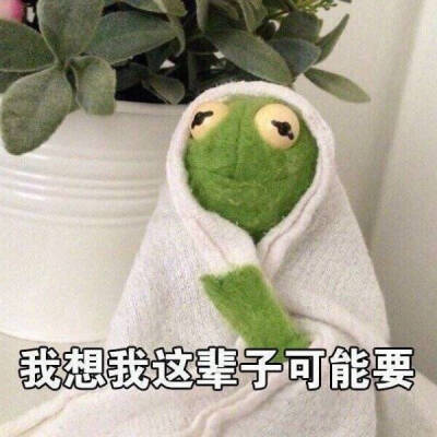 布偶悲伤蛙