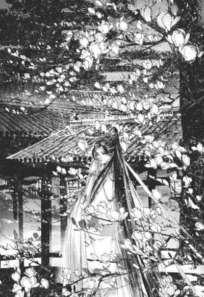 转发，个人收藏，侵权删，艾特或者私信