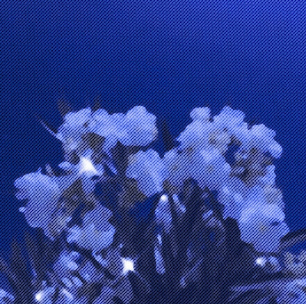 
“如果今年的花枯萎了 那我们的故事应该也会换新吧”。
滤镜宋一园