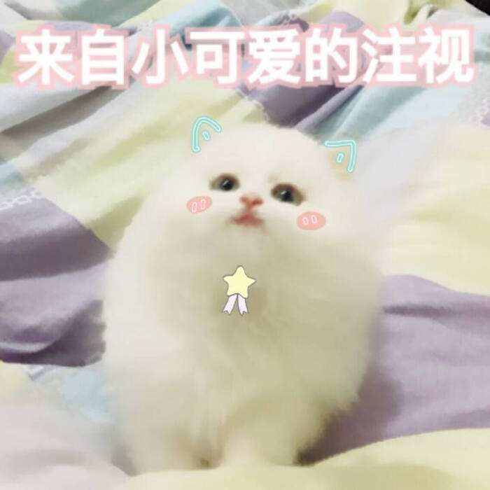 么么哒ヾ(@^▽^@)ノ 