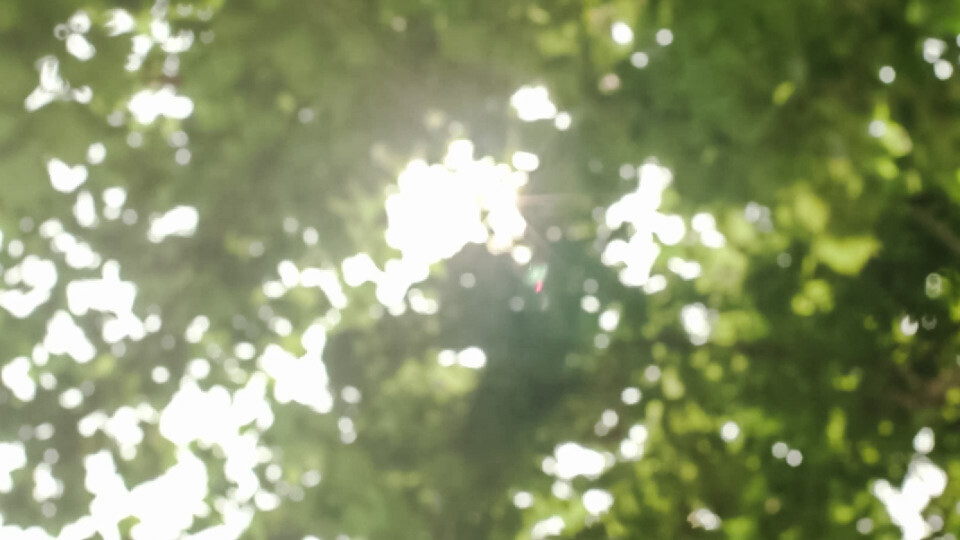 橙光素材·使用注明顾灼