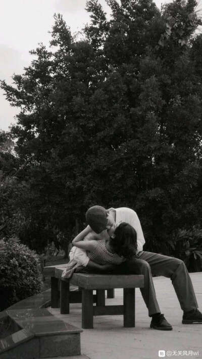 壁纸
未知出处.