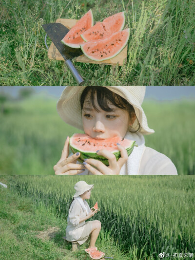 小森林春夏篇
摄影@-初夏未满
#泰州##泰州约拍##写真# ​