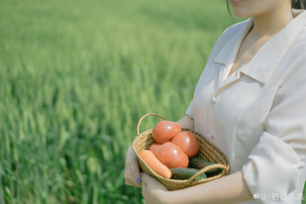 小森林春夏篇
摄影@-初夏未满
#泰州##泰州约拍##写真# ​