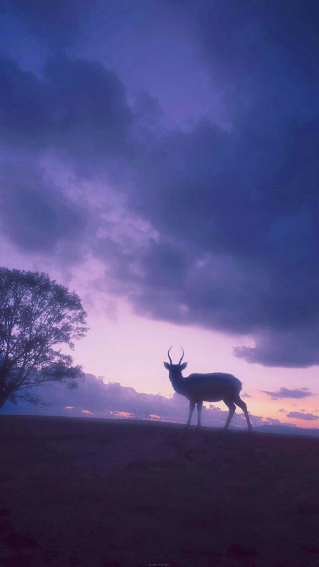 背景壁纸