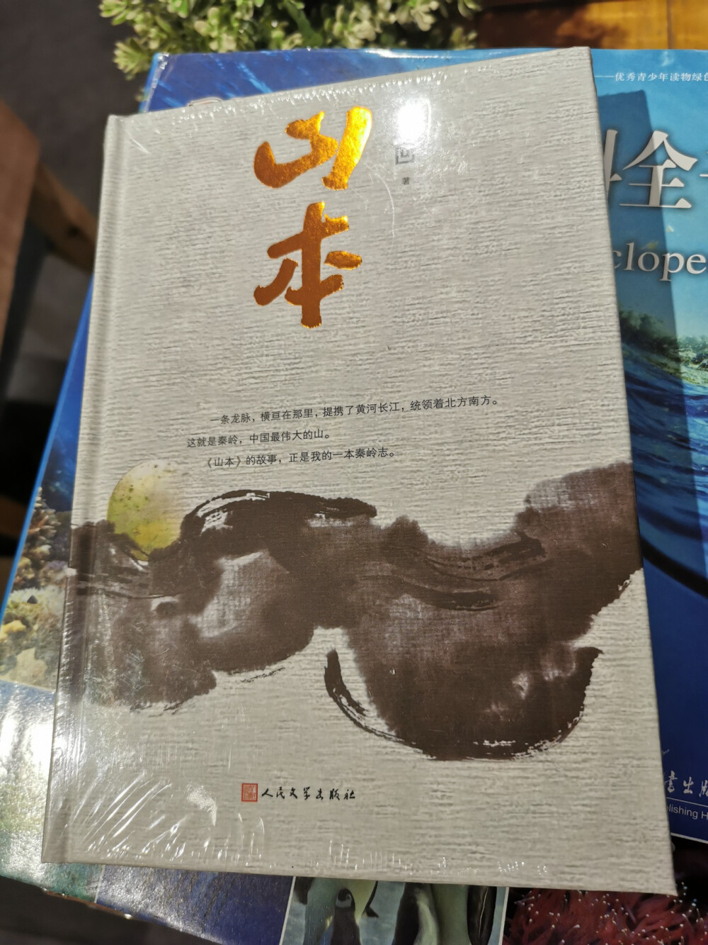 《山本》
这是贾平凹的第16部长篇小说，也是他酝酿多年立意为秦岭做传、为近代中国勾勒记忆的史诗巨著。
读《山本》以《水浒传》也参照，可以看出《山本》在精神意识上完全超越后者，从而达到对于中国传统文化的深刻洞察与批判。然而在细节描写和笔法运用上又处处可见传统小说的影响。贾平凹在继承古代白话小说遗产方面显示了炉火纯青的化解能力。