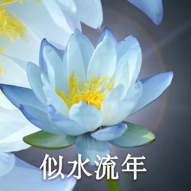 三人闺蜜头像