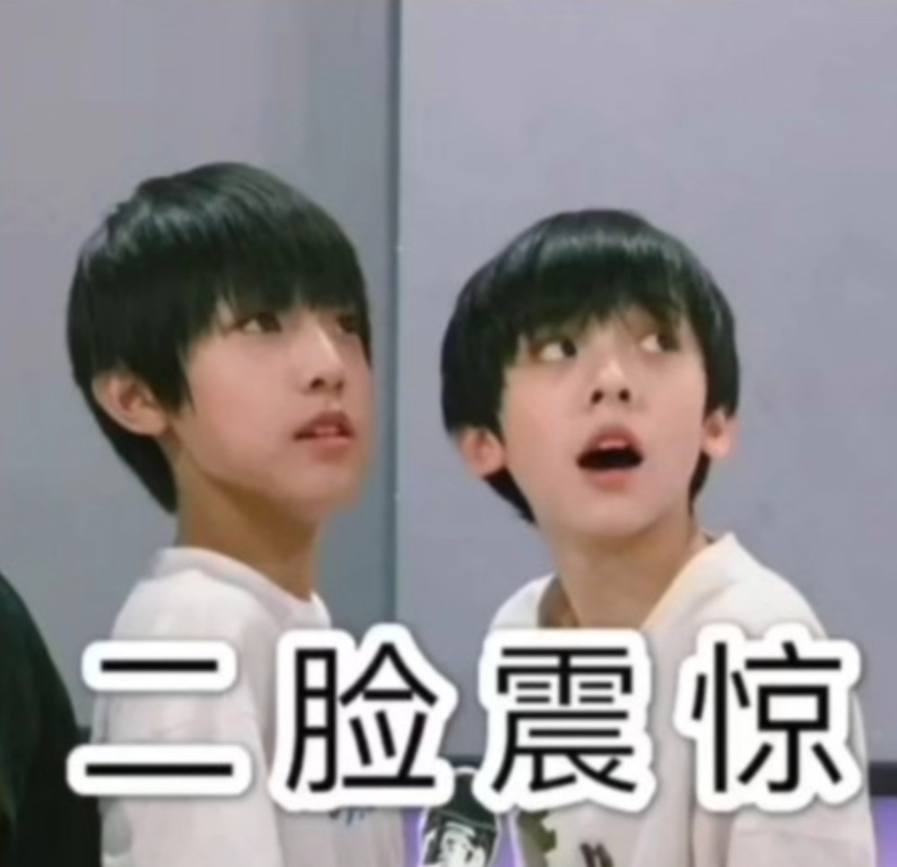 TF家族三代