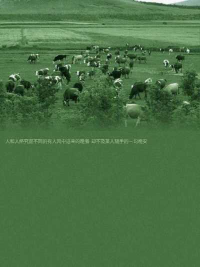  不论一位女性穿什么样的衣服，喝的有多醉，都不能成为别人放肆的理由。