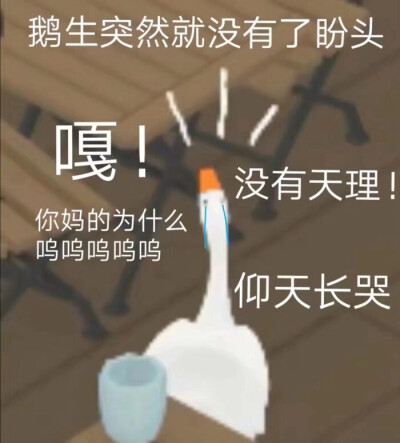 大母鹅系列表情(∗❛ั∀❛ั∗)✧*。