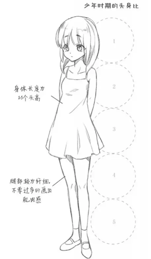 不同年龄段动漫人物头身比例画法

