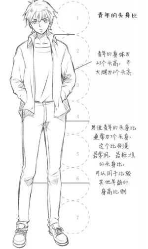不同年龄段动漫人物头身比例画法


