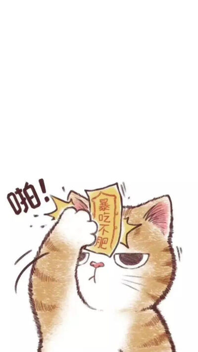 猫咪壁纸