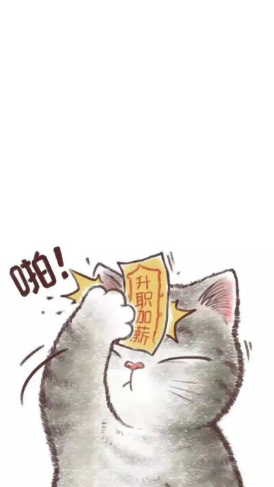 猫咪壁纸