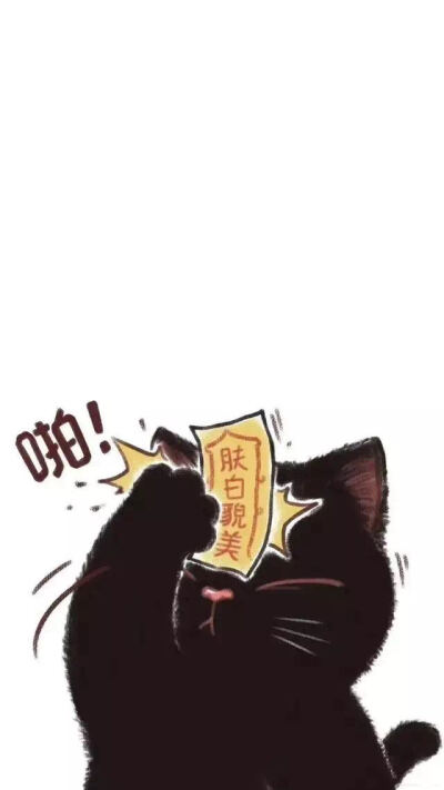 猫咪壁纸