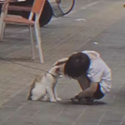 猫猫小男孩