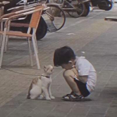 猫猫小男孩