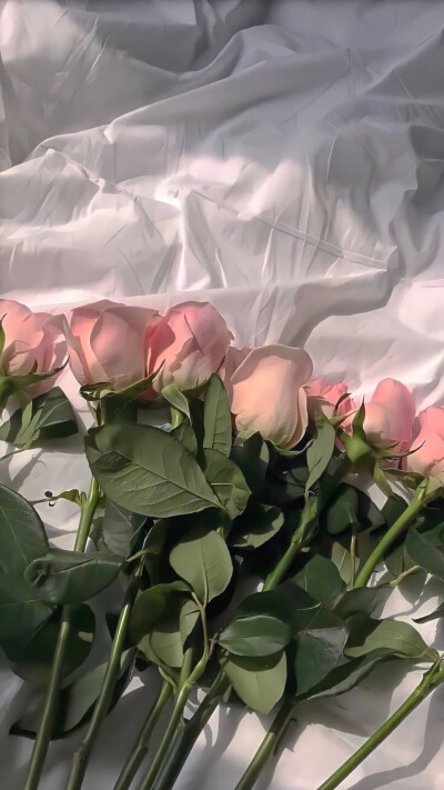 再见一次还会心动