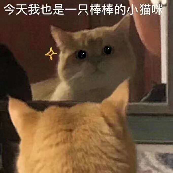 好运连连