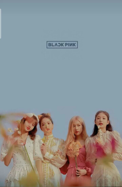 Black pink 壁纸