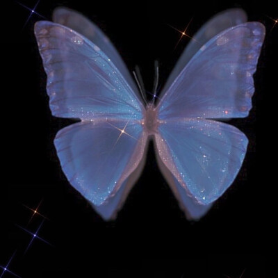 蝴蝶背景 - 高清图片，堆糖，美图壁纸兴趣社区